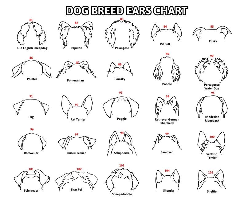 Dog Ears Outline Crate Name Tag, Custom Dog Decor, Hanging Crate Sign, Custom Crate Sign, Dog Bone Sign, Custom Dog Gift, Crate Dog Decor Dog Ears Outline Crate Name Tag, Custom Dog Decor, Hanging Crate Sign, Custom Crate Sign, Dog Bone Sign, Custom Dog Gift, Crate Dog Decor