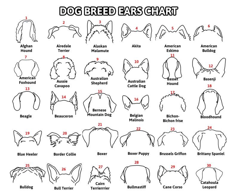 Dog Ears Outline Crate Name Tag, Custom Dog Decor, Hanging Crate Sign, Custom Crate Sign, Dog Bone Sign, Custom Dog Gift, Crate Dog Decor Dog Ears Outline Crate Name Tag, Custom Dog Decor, Hanging Crate Sign, Custom Crate Sign, Dog Bone Sign, Custom Dog Gift, Crate Dog Decor