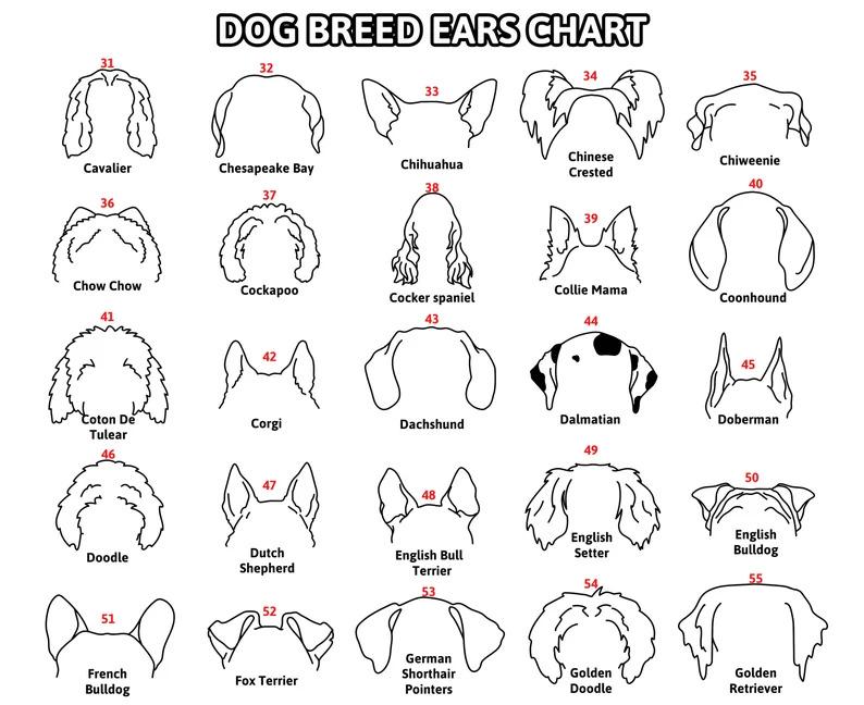 Dog Ears Outline Crate Name Tag, Custom Dog Decor, Hanging Crate Sign, Custom Crate Sign, Dog Bone Sign, Custom Dog Gift, Crate Dog Decor Dog Ears Outline Crate Name Tag, Custom Dog Decor, Hanging Crate Sign, Custom Crate Sign, Dog Bone Sign, Custom Dog Gift, Crate Dog Decor