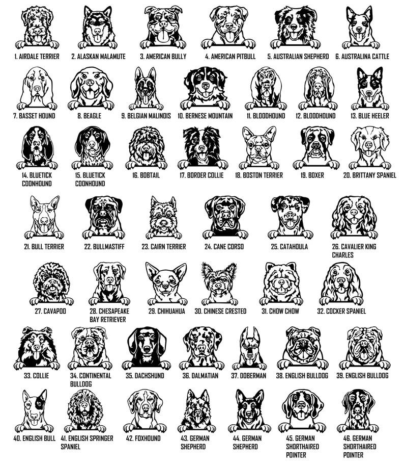 Dog Peeking Crate Name Tag, Custom Dog Decor, Hanging Crate Sign, Custom Crate Sign, Dog Bone Sign, Custom Dog Gift, Crate Dog Decor Dog Peeking Crate Name Tag, Custom Dog Decor, Hanging Crate Sign, Custom Crate Sign, Dog Bone Sign, Custom Dog Gift, Crate Dog Decor